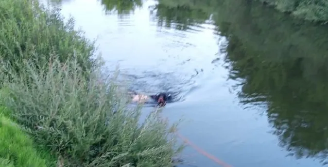 У Луцькому районі в річці втопився чоловік (фото)