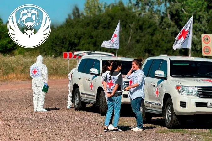 В Україну повернули тіла ще 250 полеглих захисників (фото)