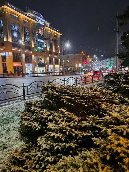 Сніг, ялинки та ілюмінації: який він, вечірній зимовий Луцьк (фото)