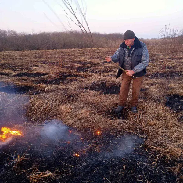 Вогонь охопив національний парк на Волині: у чому причина