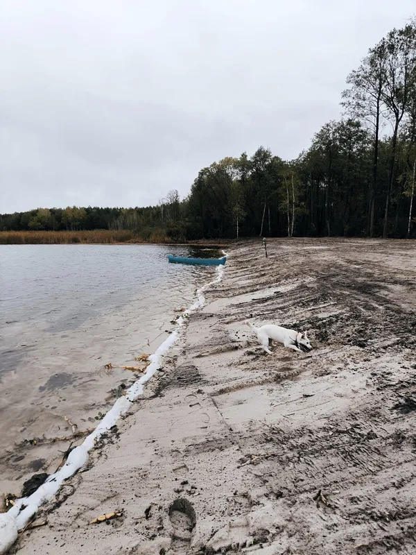 По-осінньому захмурене: показали краєвиди популярного на Волині озера (фото)
