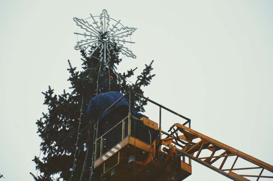 Як прикрашають новорічні ялинки в центрі Луцька (фото)