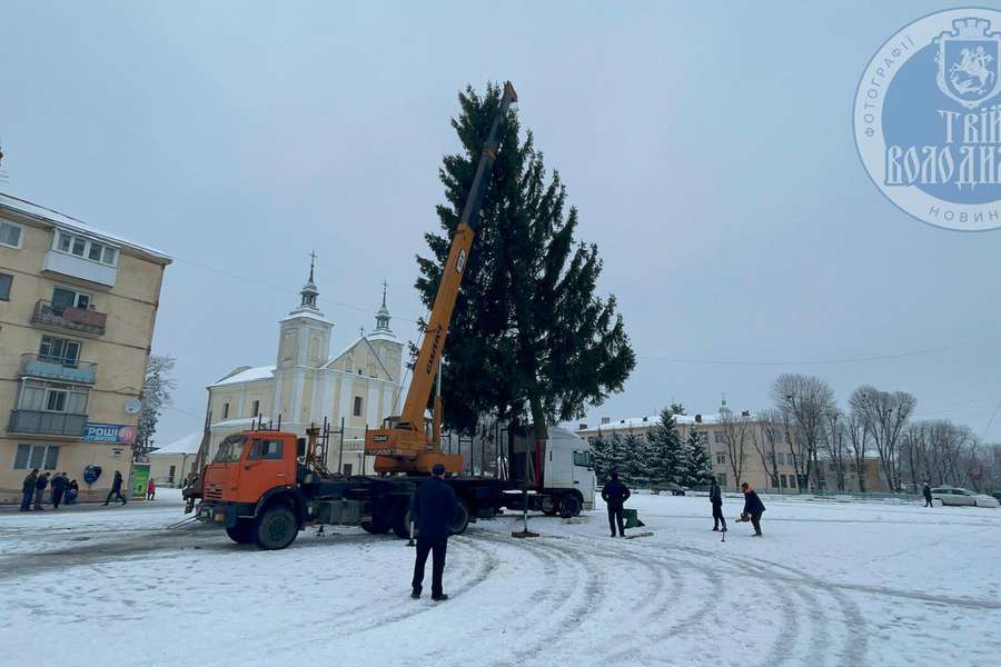 🎄 У Володимирі встановили головну ялинку міста (фото)
