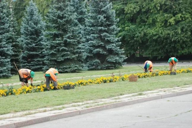 До озеленення Луцька хочуть залучити більше підприємців (оновлено) 
