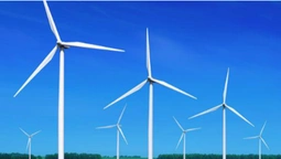 На Ковельщині планують збудувати вітрову електростанцію (відео)