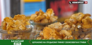 Скільки коштують свіжі гриби у Луцьку на базарі (відео)