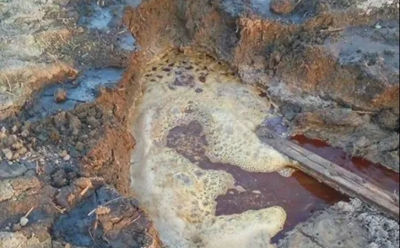 Цукровому заводу заборонили експлуатацію полів фільтрації біля Луцька (документ)