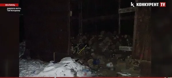 На Волині п'яний чоловік побив пенсіонерку до смерті: подробиці (фото)