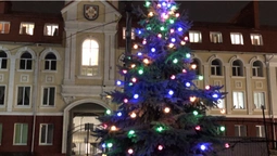 На подвір'ї Свято-Троїцького собору в Луцьку засвітили різдвяну ялинку (фото)