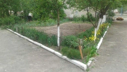 У Луцьку знову "знесли" паркани (фото)