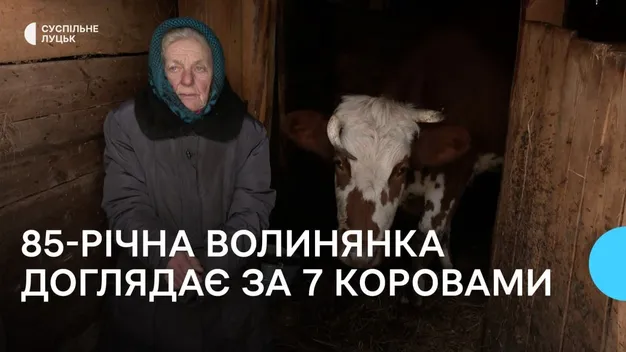 «Люблю коло них ходити»: 85-річна волинянка доглядає за сімома коровами (відео)