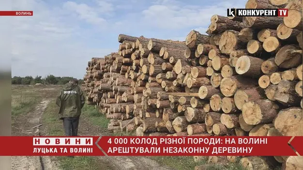 На Волині арештували понад 600 кубів незаконної деревини (фото, відео)