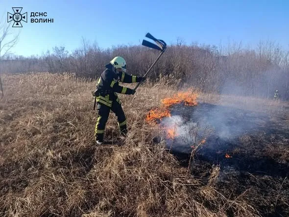 Понад два гектари вогню: на Волині знову палала суха рослинність (фото)