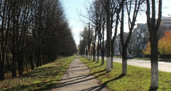 За 20 років Лесин виш нічого не зробив для благоустрою парку на Потебні у Луцьку