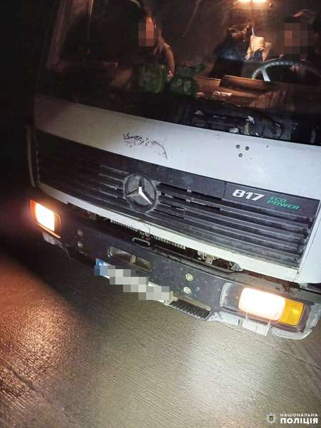 У волинянина на Рівненщині забрали вантажівку через незаконні колоди (фото)
