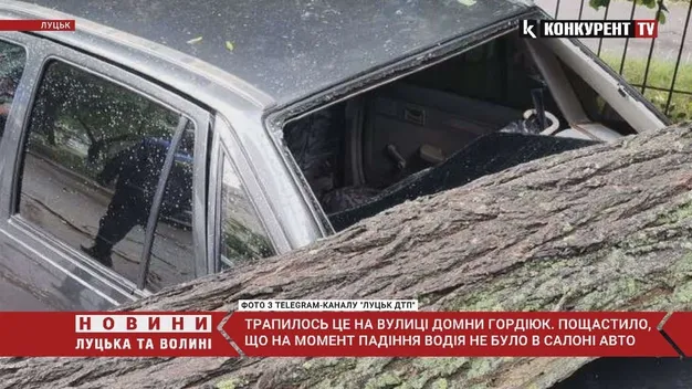 Негода у Луцьку: на припарковане авто впало дерево (відео)
