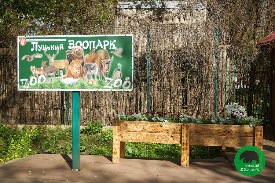 «Погода волає про візит»: Луцький зоопарк заманює до себе відвідувачів (фото)
