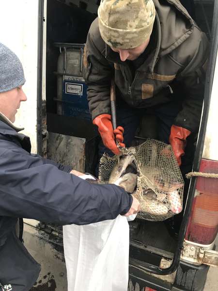 На тушонки для військових: волинські підприємці передали 150 кілограмів риби (фото)
