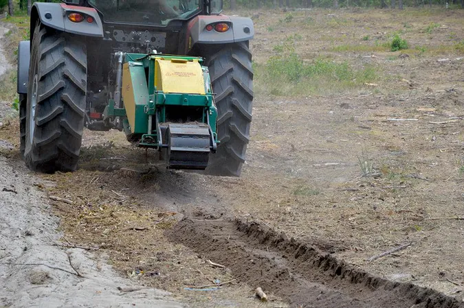 Волинські лісівники адаптуються до нових реалій (фото)