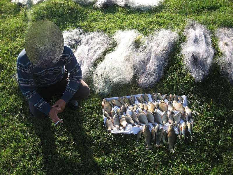 «Червонокнижний» улов: на Волині браконьєри «нарибалили» на майже 30 тисяч гривень (фото)