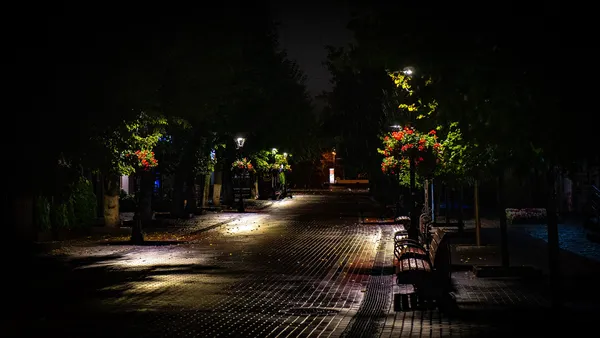 Луцьк після осіннього дощу: фотограф опублікував світлини нічного міста (фото)