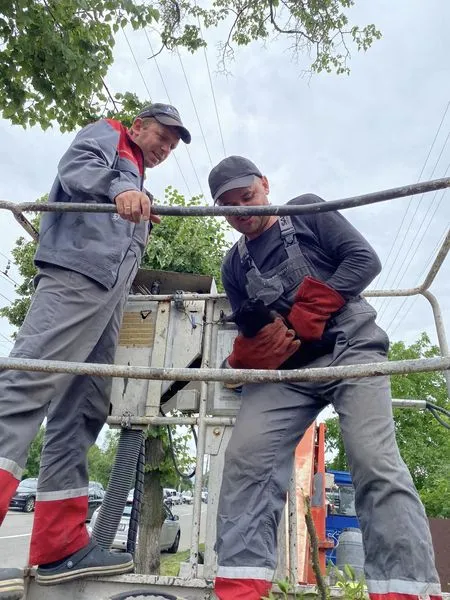 Майже 4 доби сиділо на дереві: у Луцьку врятували кошеня (фото)