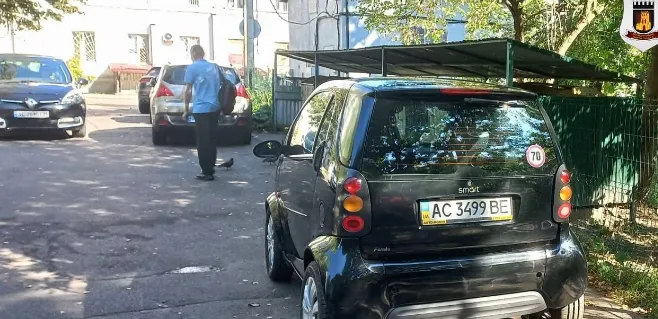 Через паркохамів з луцьких дворів не вивозять сміття (фото)