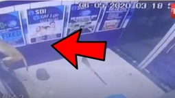 В Індії мавпа відкрила банкомат та втекла з місця злочину (відео)