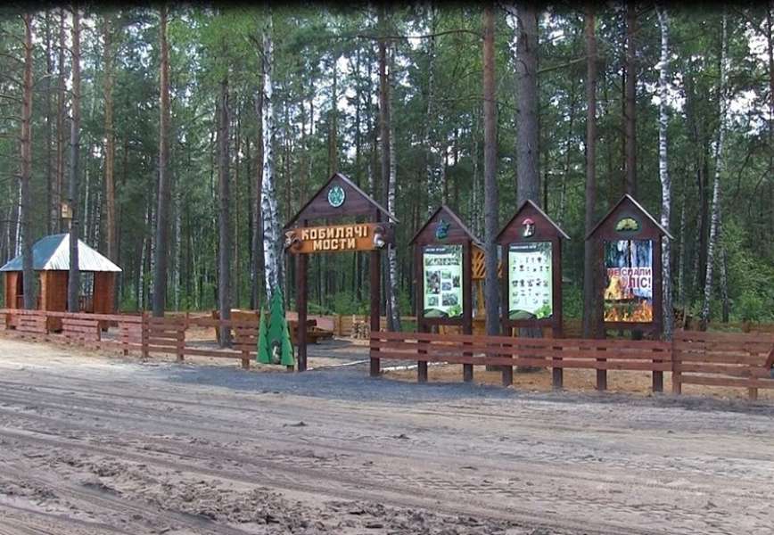 На Волині відкрили нові лісові дороги (фото)