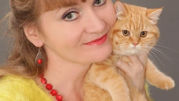 "До вибору кота треба підходити відповідально", – фелінолог Наталія Дмитрієва