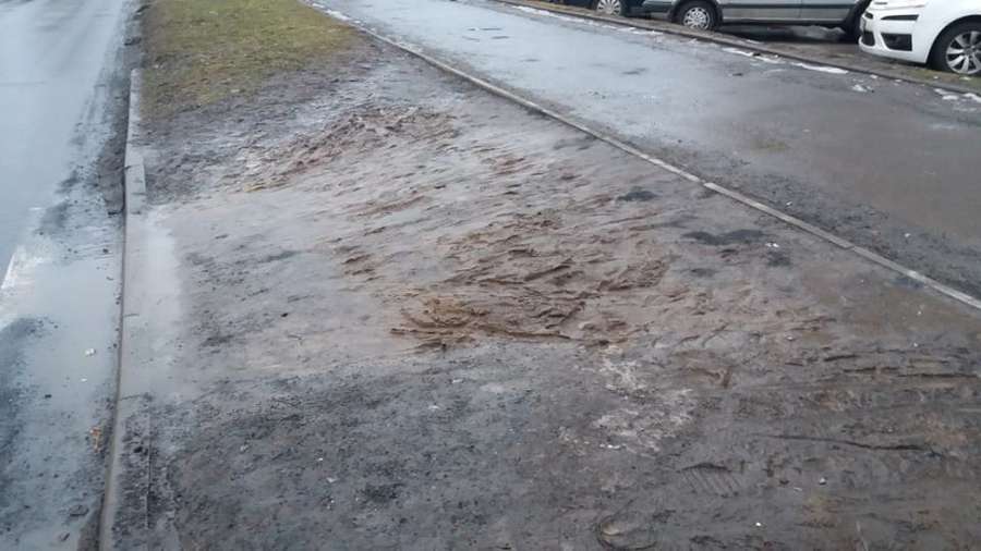 Із дороги – в болото: в Луцьку просять облаштувати пішохідний перехід (фото)