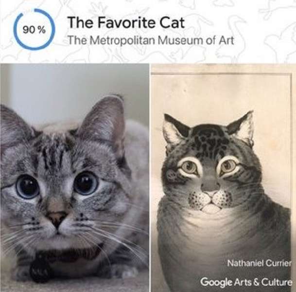 Google відшукає вашого домашнього улюбленця на картинах відомих художників (фото)