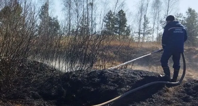 На Волині невідомі підпалили торф’яник (фото)