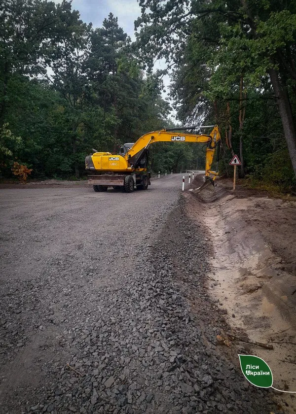 Волинь серед лідерів з будівництва лісових доріг (фото)