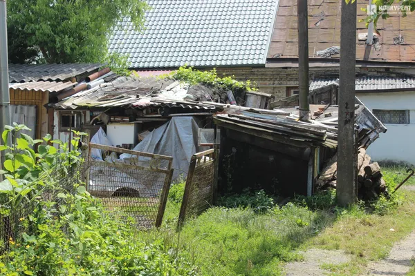 Кози не винні: лучанин розповів, чим привернув увагу муніципалів