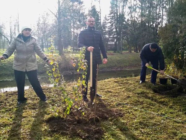У луцькому парку посадовці висадили махровий жасмин (фото)