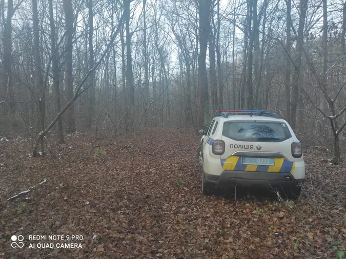 На Волині спіймали чоловіка, який самовільно рубав ліс