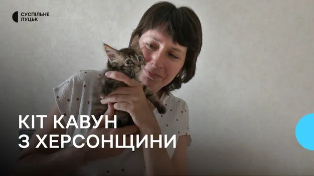 Херсонський кіт Кавун знайшов новий дім у Луцьку (фото, відео)