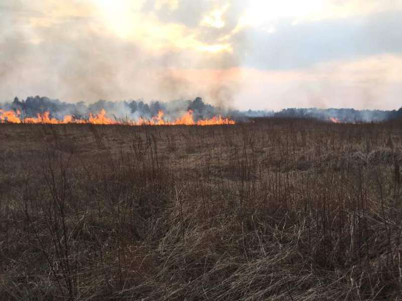 За вихідні на Волині загасили 28 пожеж (фото, відео)