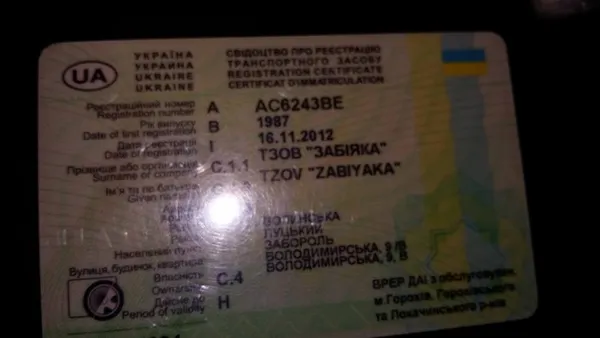 Автомобілі луцького ковбасного виробника опівночі зливали нечистоти в Луцьку