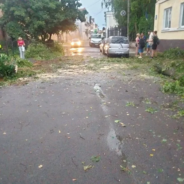 У Луцьку в Старому місті дерево впало на припарковане авто (фото)