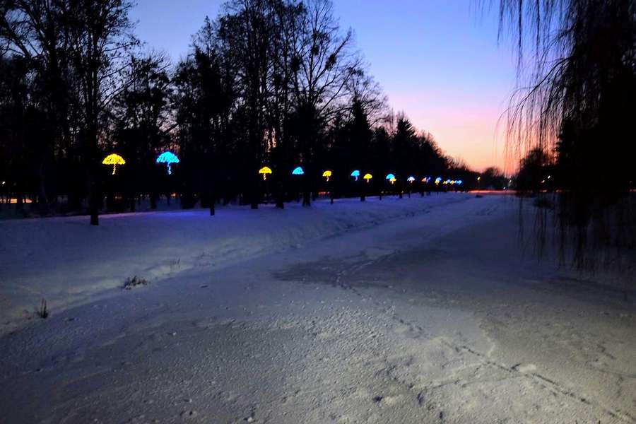 Як виглядає Центральний парк Луцька у зимових сутінках (фото)