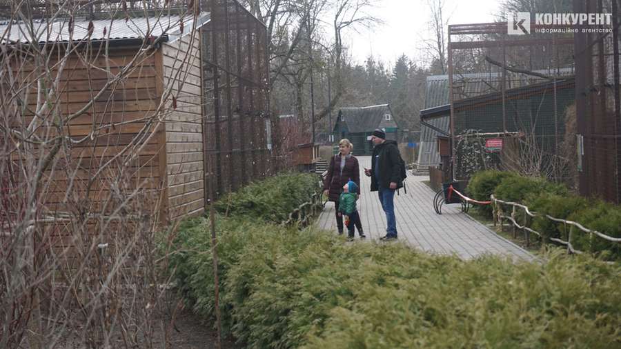 Бентежні носики та ніжні квіти: весна у Луцькому зоопарку (фото)