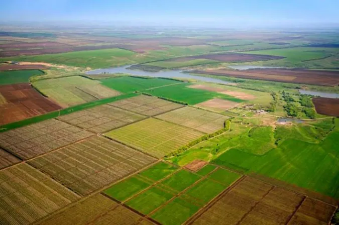 На Волині у підприємства забрали 35 гектарів орендованої землі