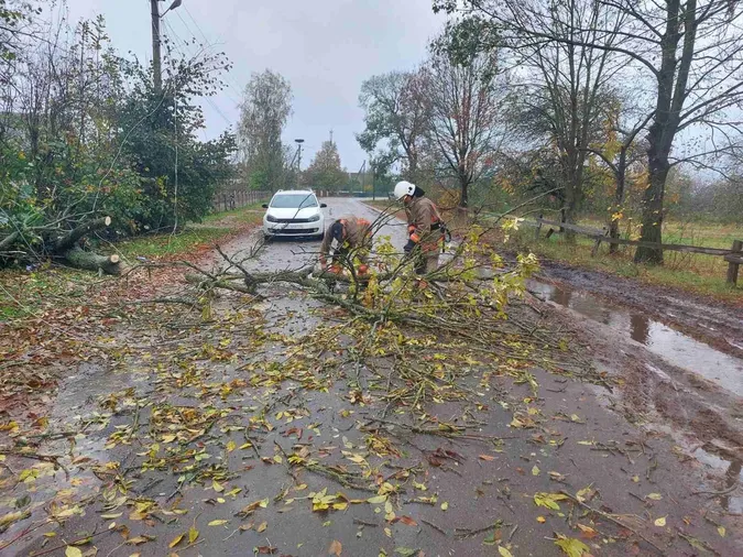 На Камінь-Каширщині дерево впало на дорогу (фото)