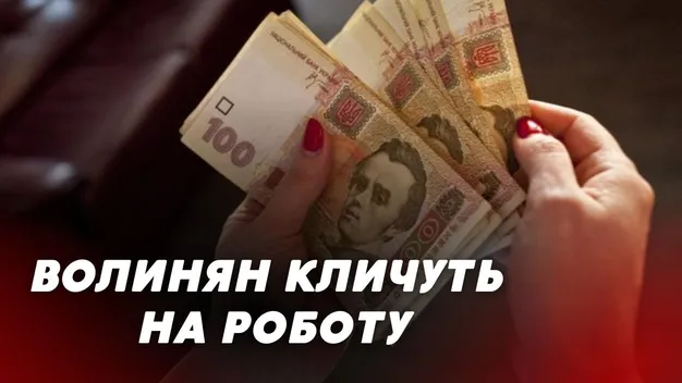 Зарплата – від 25 000 до 50 000: у Луцьку та області запрошують на роботу (відео)
