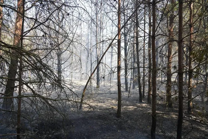 На Волині через необережність в пожежі загинув чоловік (фото)