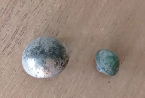 У Ковельському музеї – нове відкриття: старовинні ґудзики розповіли про зниклий маєток