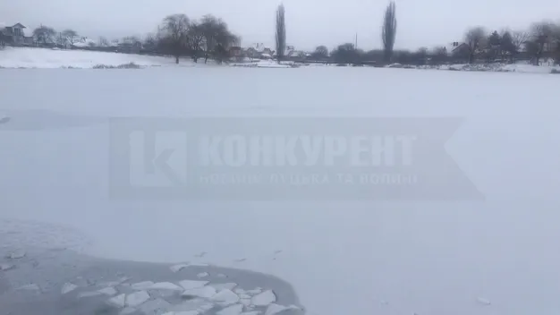 На Теремнівських ставках у Луцьку замерзають птахи (фото, відео)