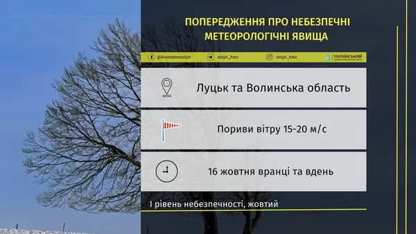 Рівень небезпечності – «жовтий»: у Луцьку буде вітряно
